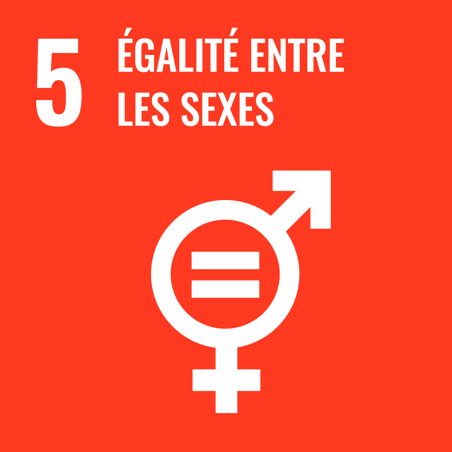 SDG 5 Gender Equality