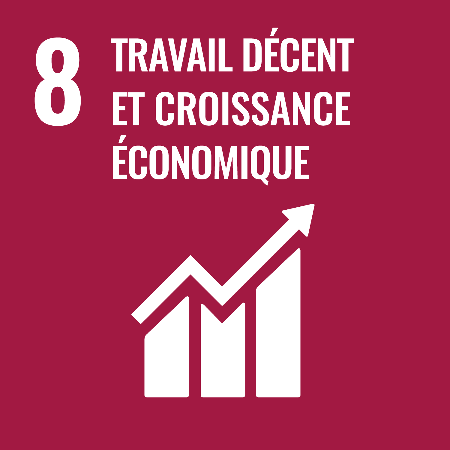 SDG 8 Decent Work and Economic Growth