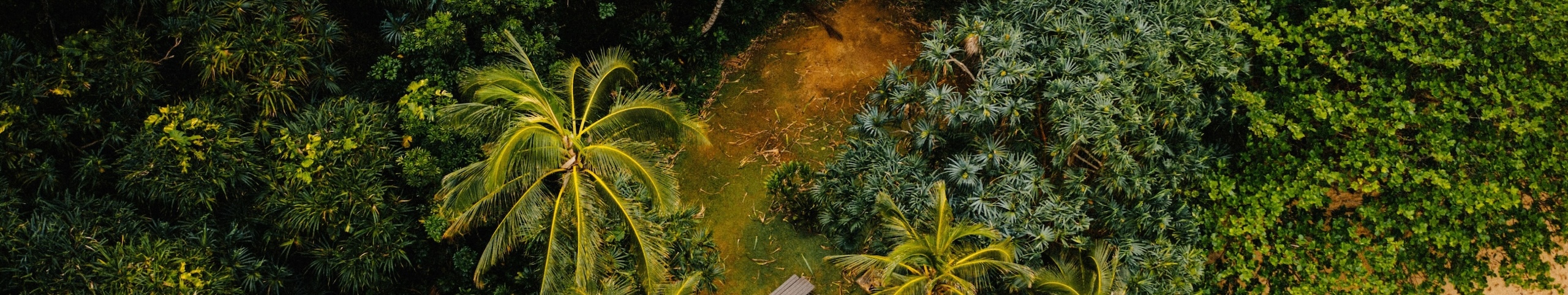 Canopy Trust Governance Banner 01