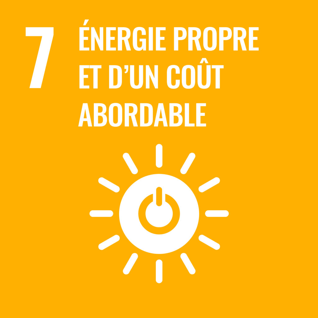 Canopy Trust Sdgs Objectif 07 Energie Propre Et Cout Abordable