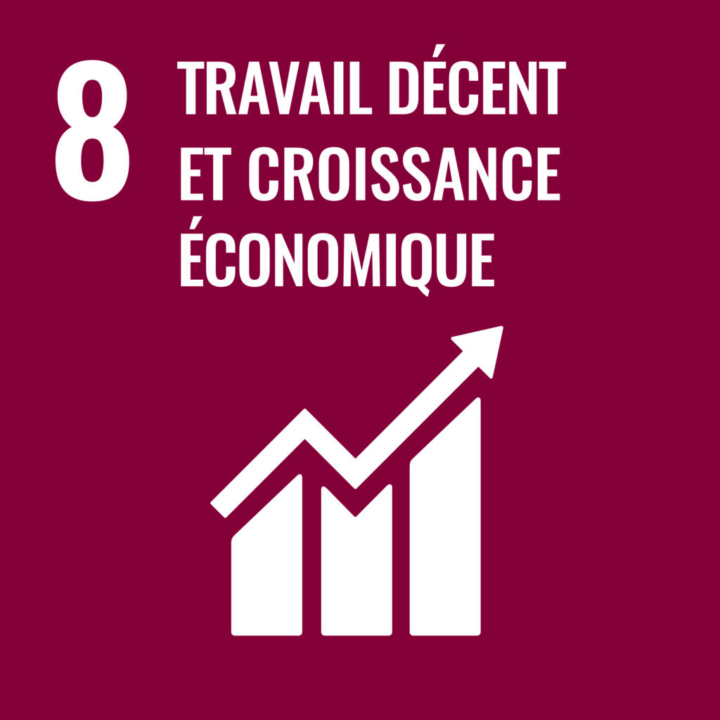 Canopy Trust Sdgs Objectif 08 Travail Decent Et Croissance Economique