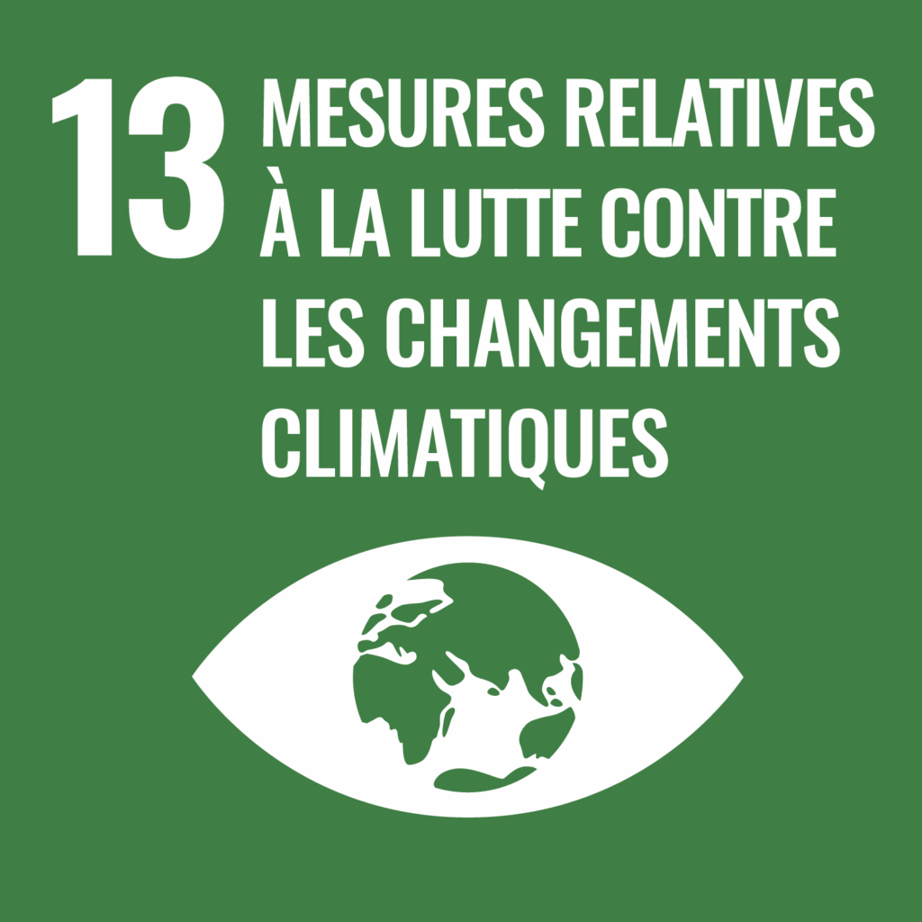 Canopy Trust Sdgs Objectif 13 Lutte Contre Les Changements Climatiques