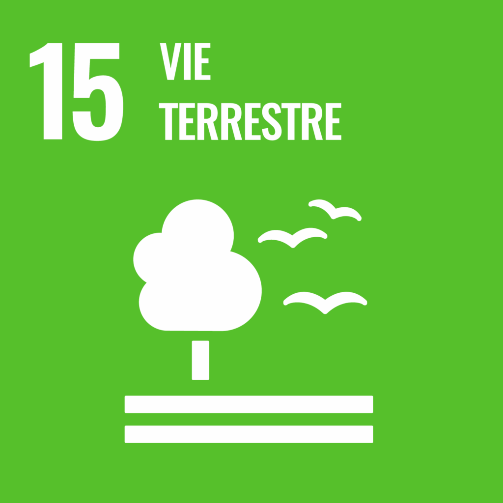 Canopy Trust Sdgs Objectif 15 Vie Terrestre