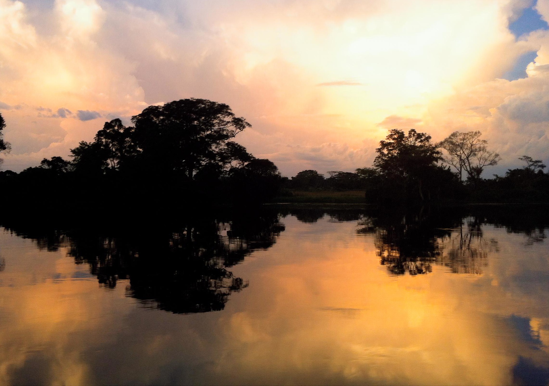 Canopy Trust mobilise 93 millions USD pour des investissements à haut impact sans déforestation en Afrique centrale