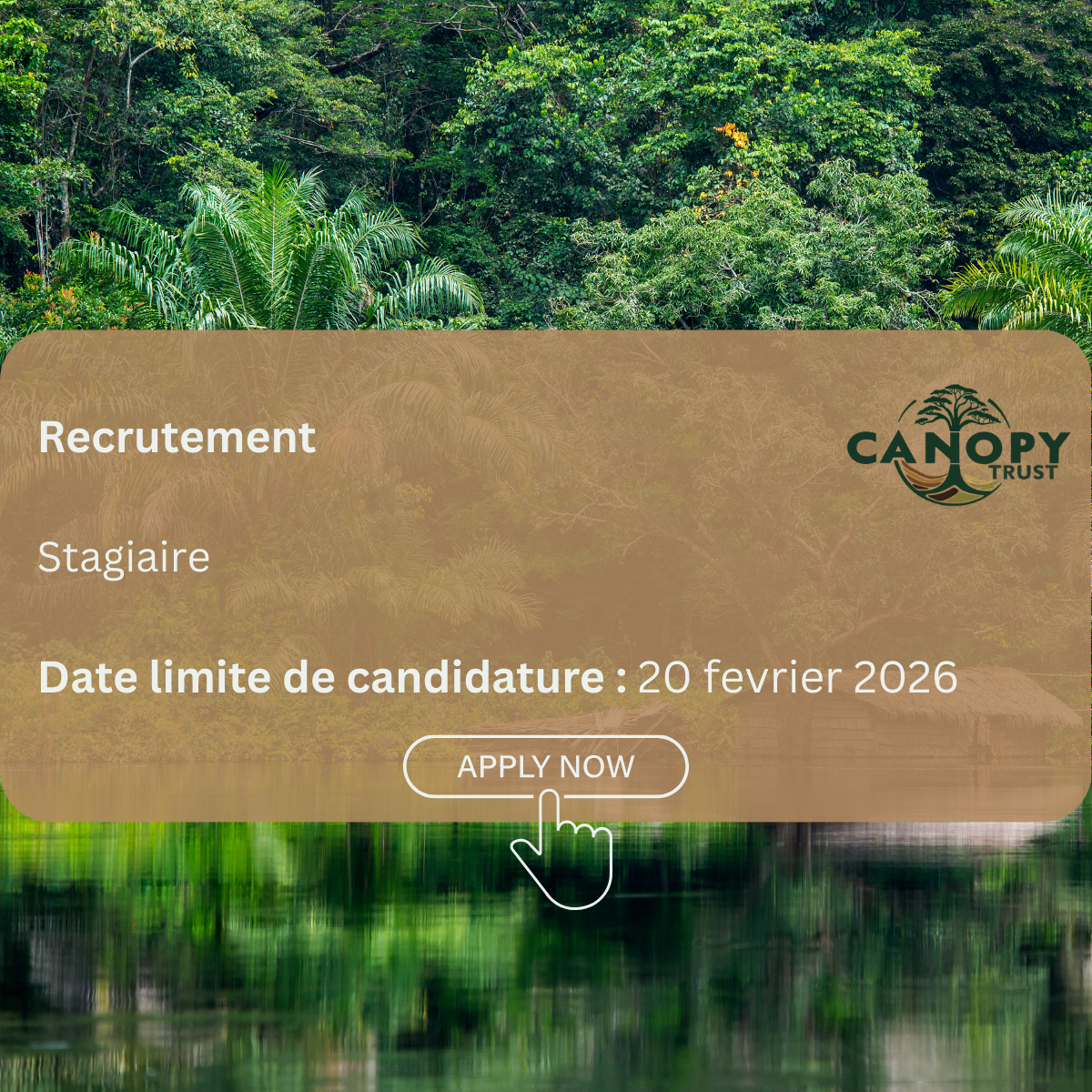Recrutement- Stagiaire