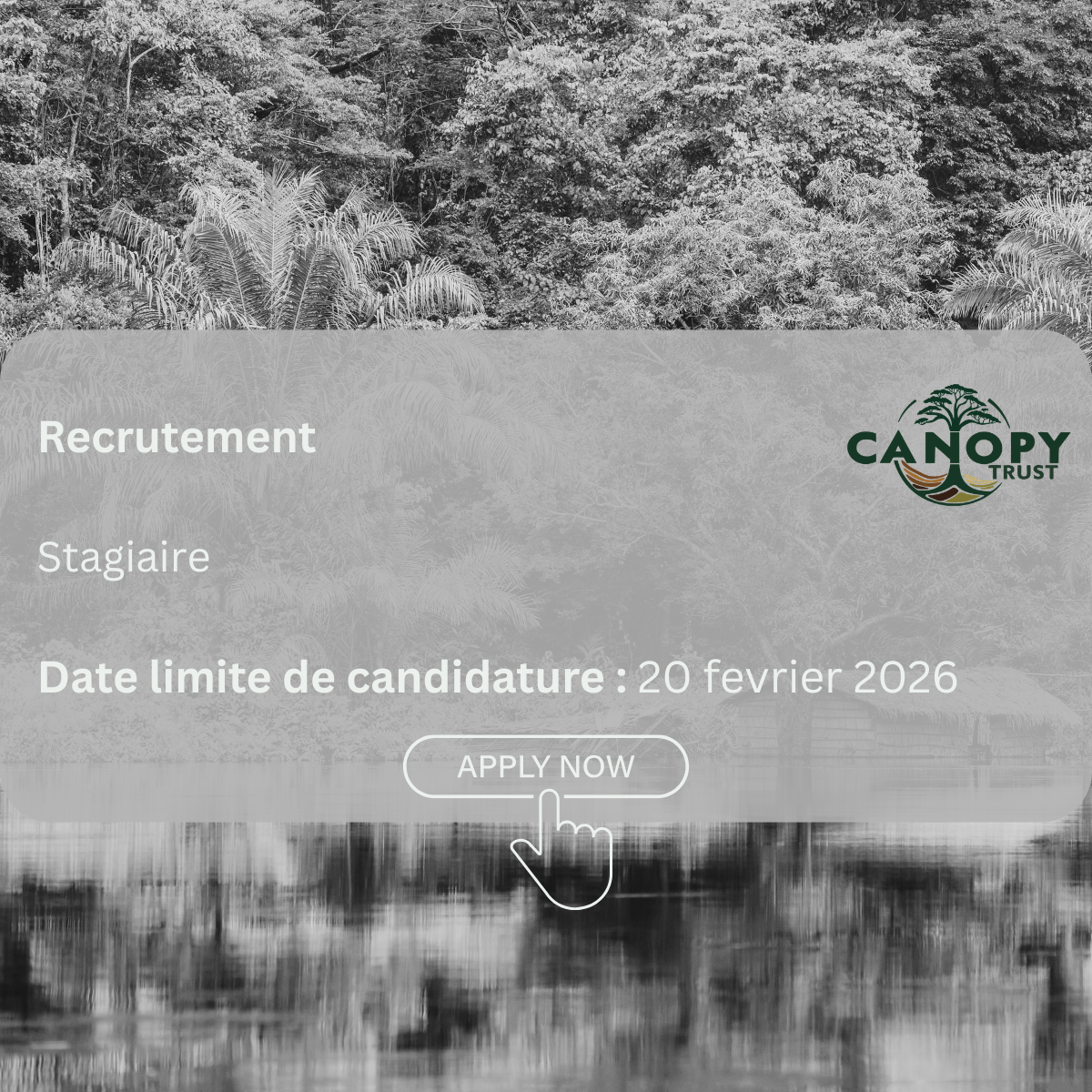Fermé-Recrutement- Stagiaire