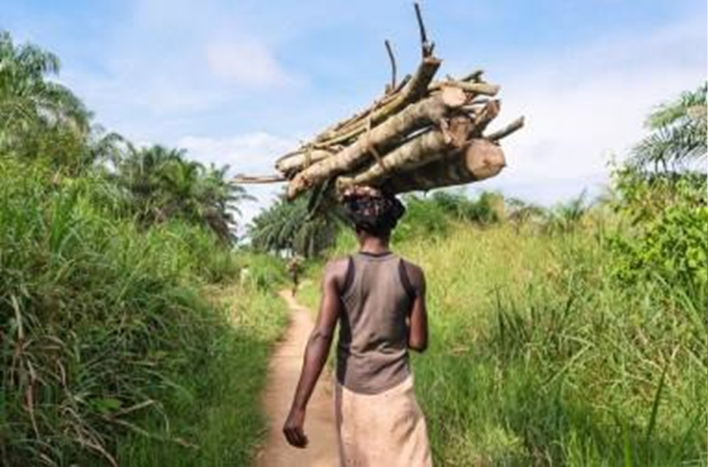 Drc Fff Layd Carrying Wood