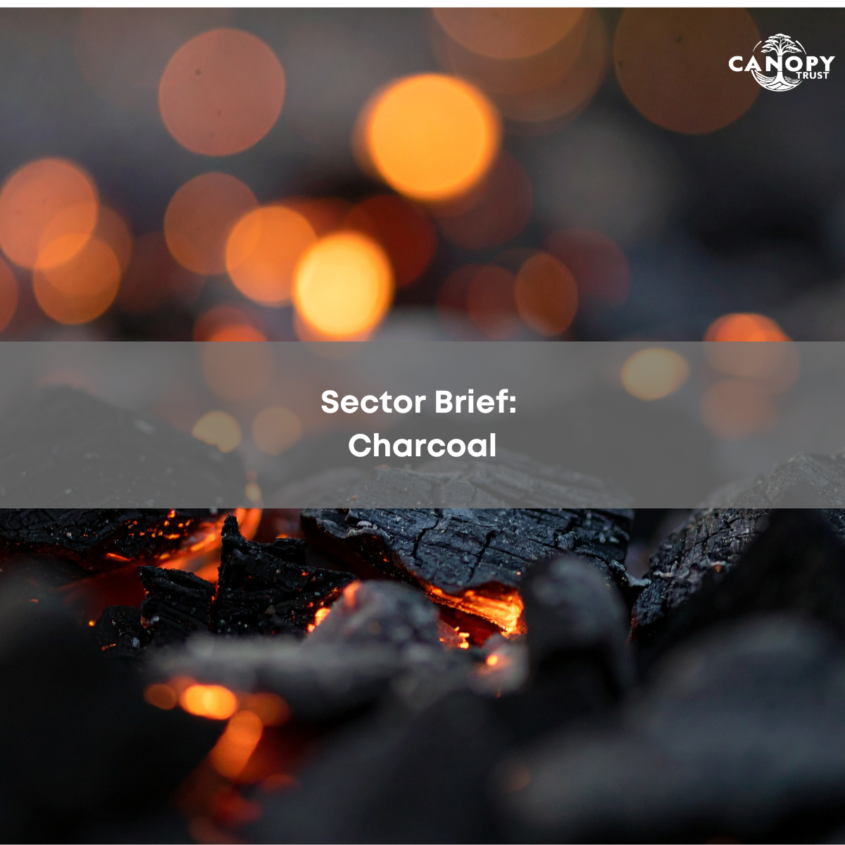 Sector brief: Charcoal