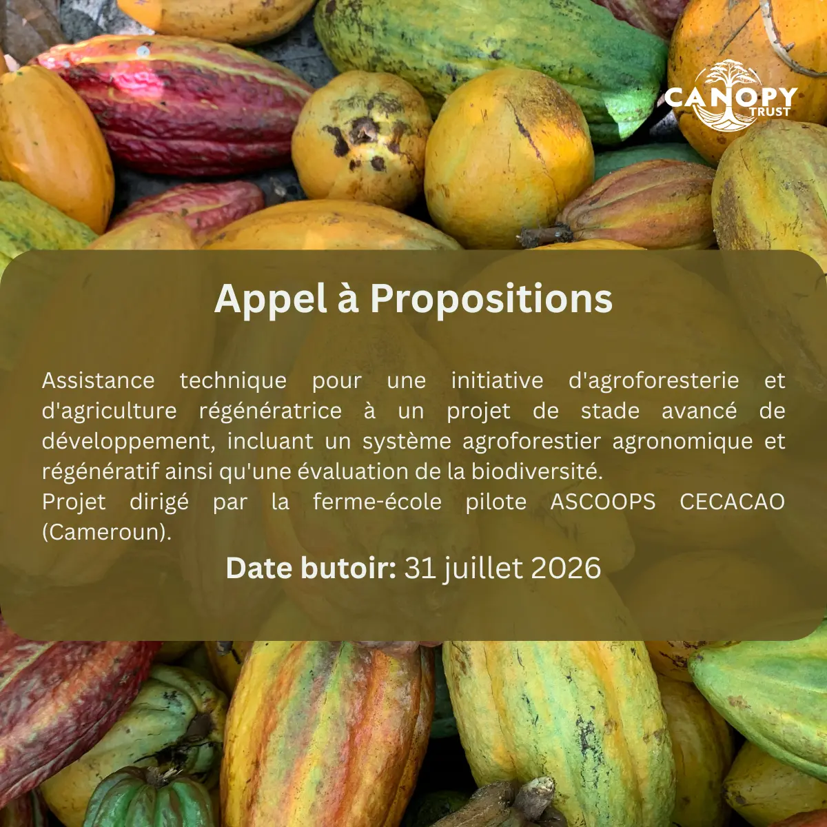 Conception agronomique et régénératrice d&rsquo;agroforesterie et Évaluation de biodiversité, Nkong-Nkeni, Cameroun