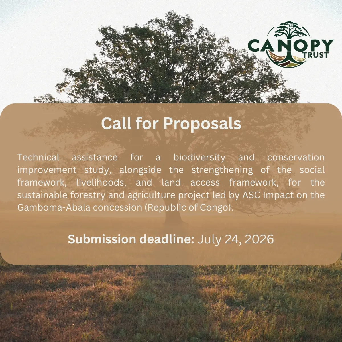 Technical Assistance for Forestry and Agriculture asc impact, Republic of Congo