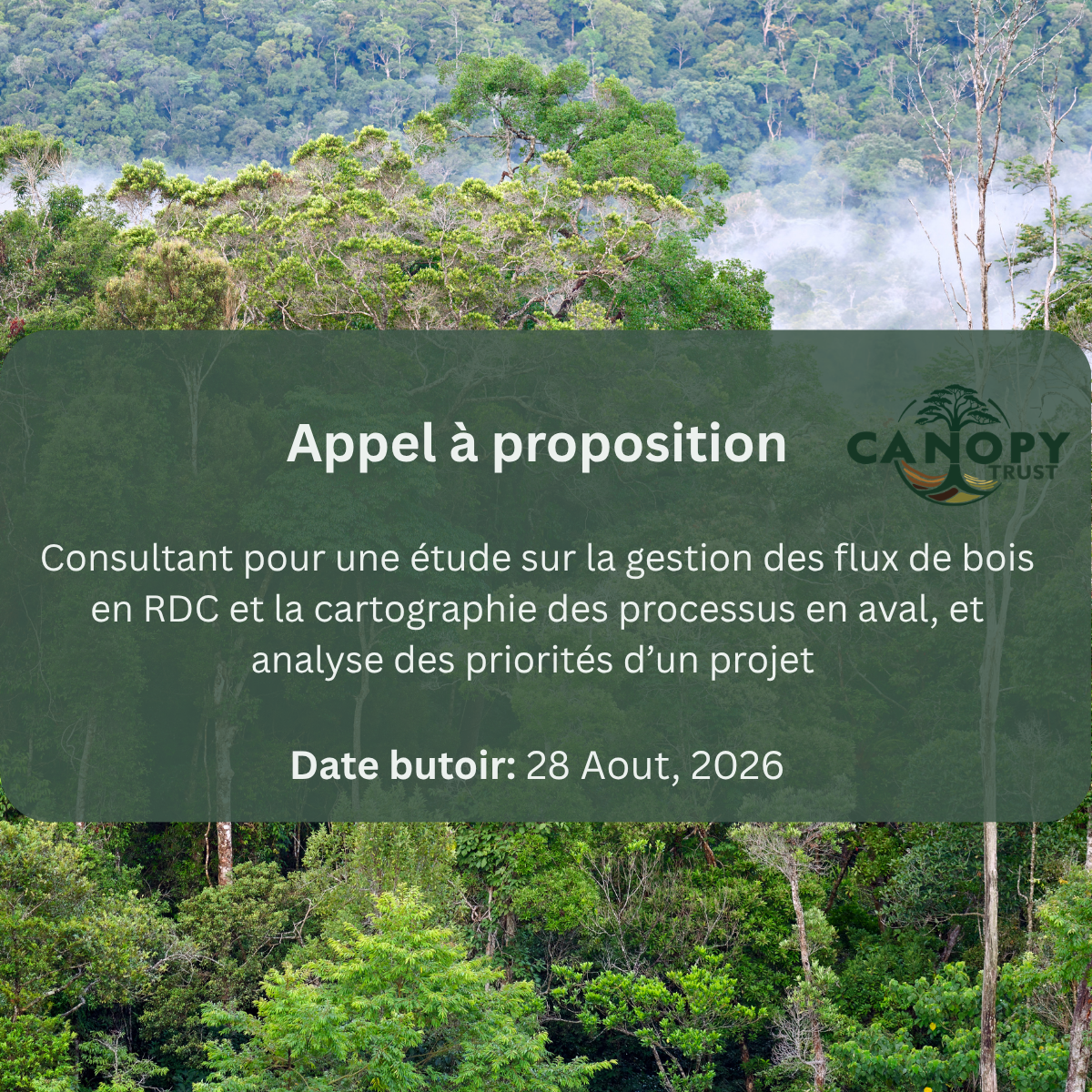 Etude sur la gestion des flux de bois en RDC, la cartographie des processus en aval, et analyse des priorités d’un projet